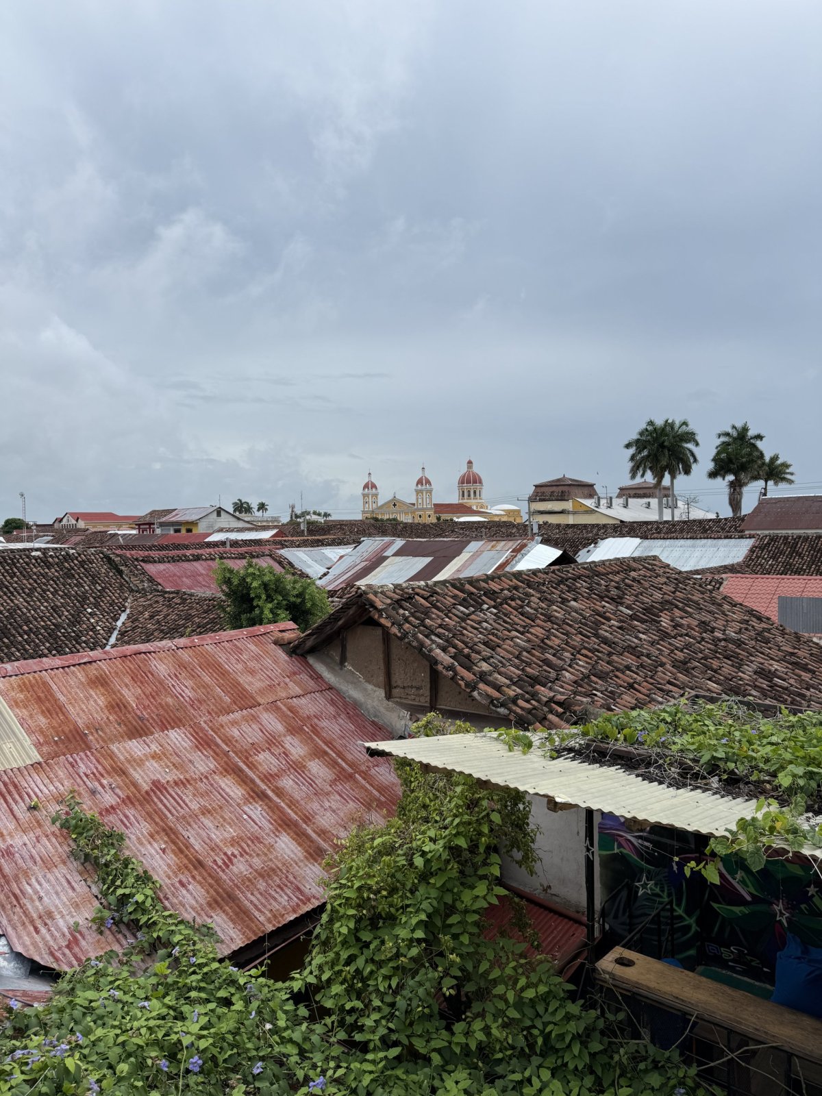 Hostel Oasis Granada - rooftop terasa s pěkným výhledem