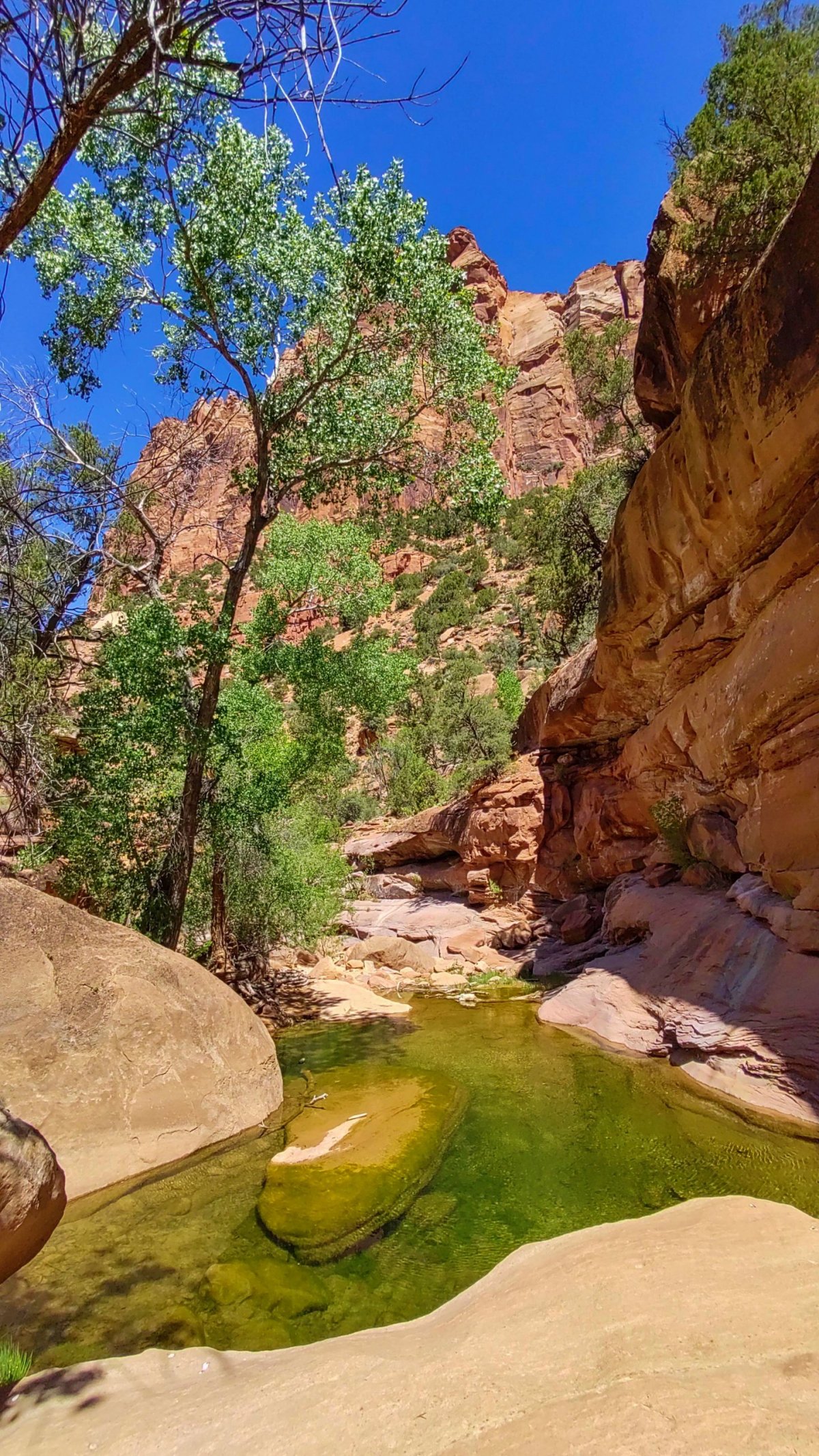Náročná cesta k vodopádu