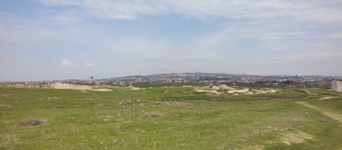 Davlat Arxeologia Qo'riqxonasi Afrosieb