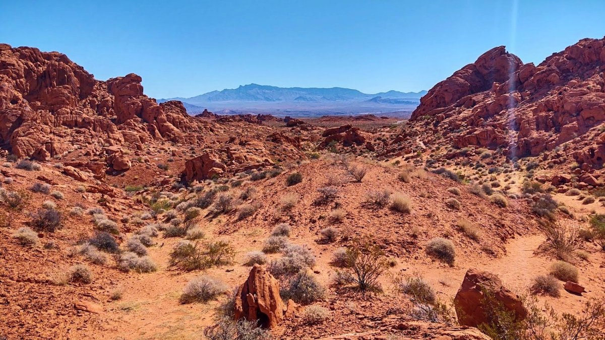 Elephant Rock Loop Trail