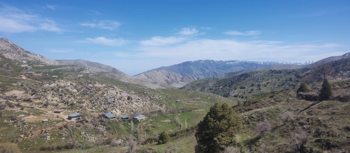 Cesta do Šachrizabzu 