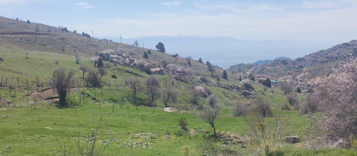 Cesta do Šachrizabzu 