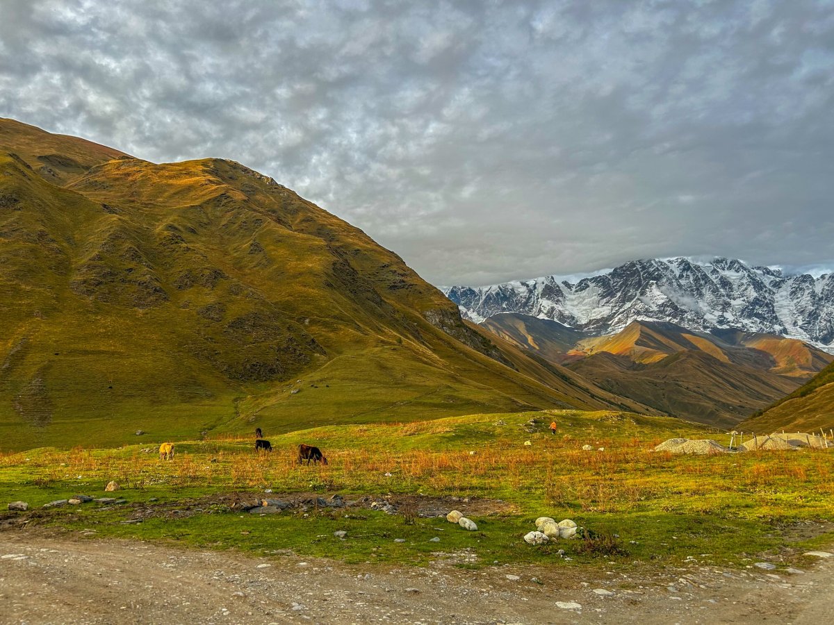 výhled na Šcharu z horního konce Ušguli
