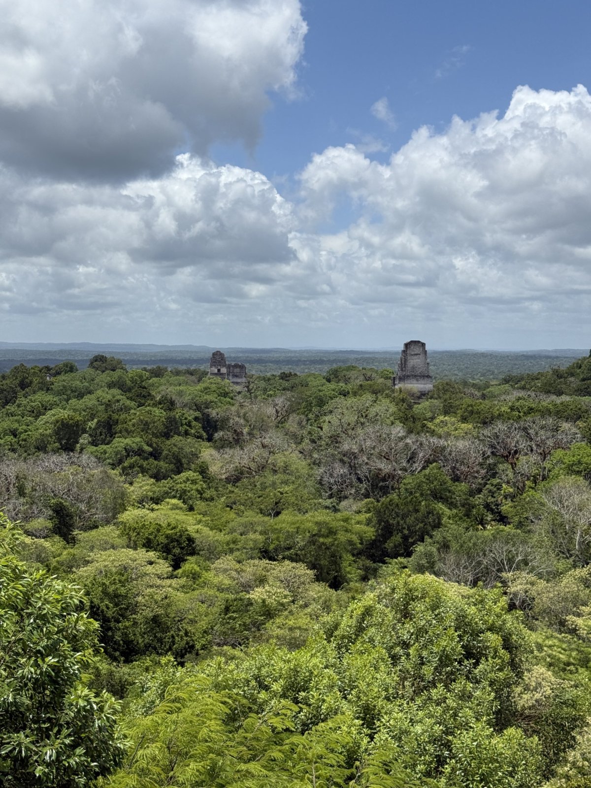 Tikal 