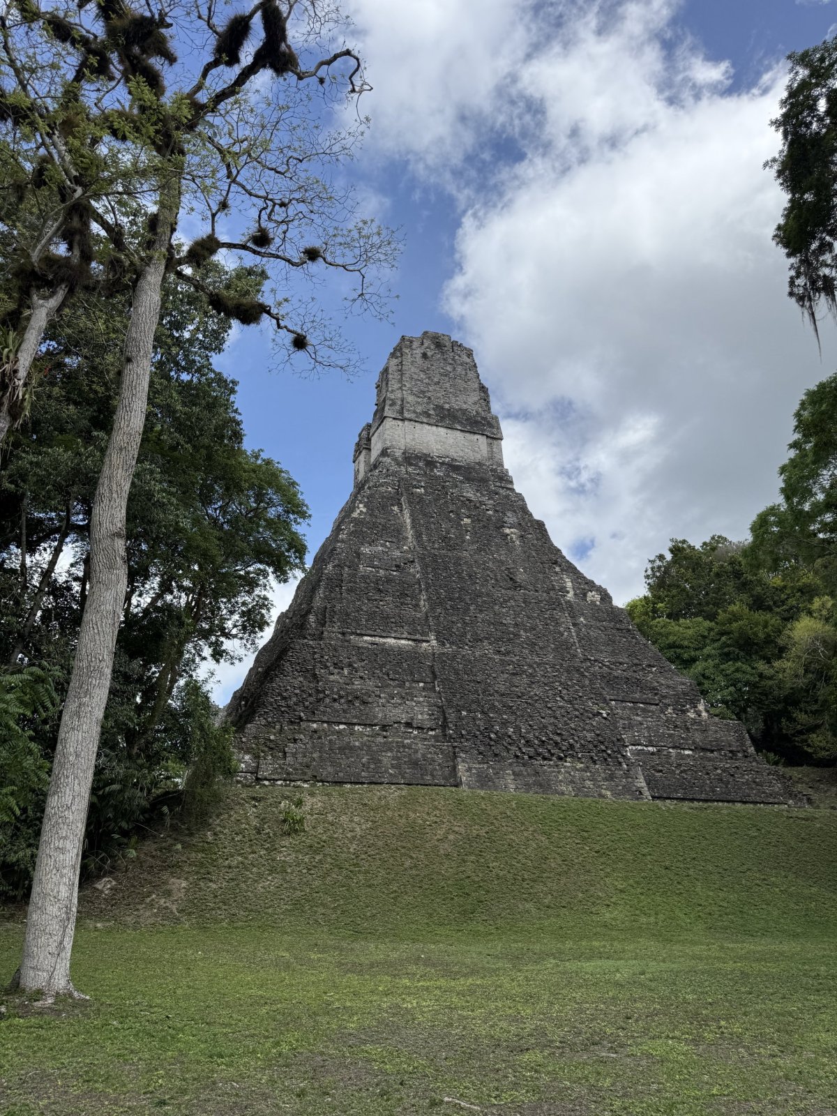 Tikal 