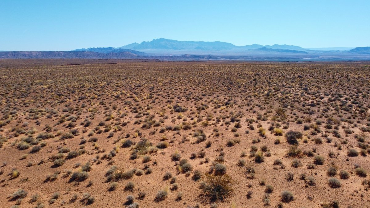 Poušť před parkem