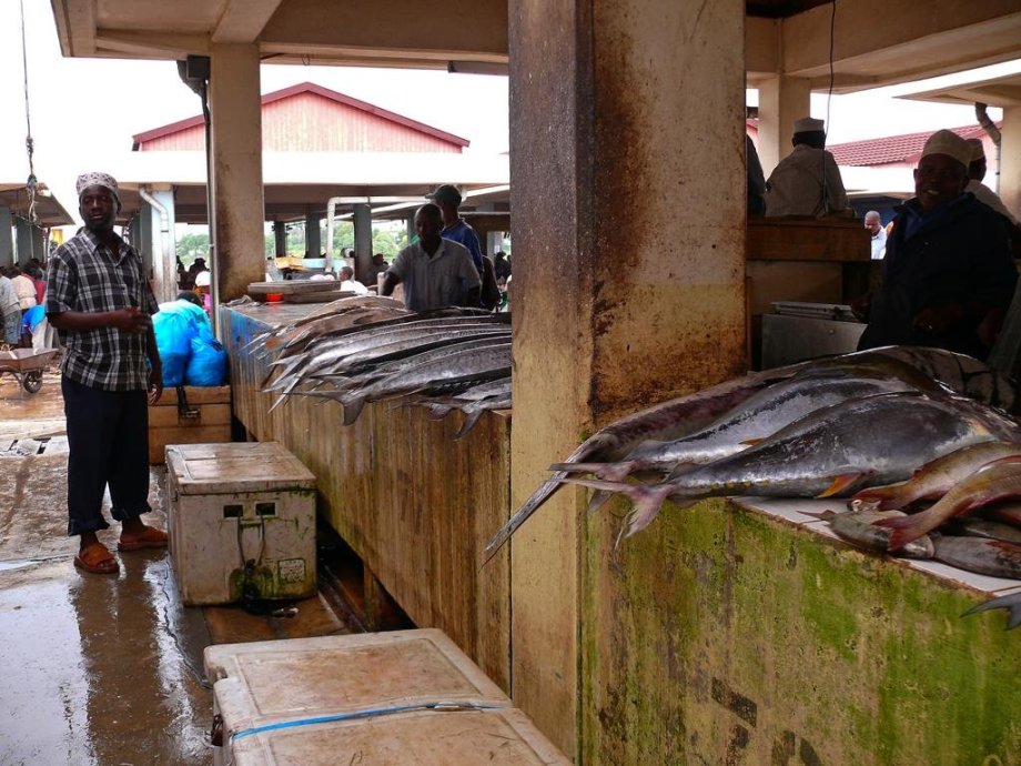 Rybí trh v Daru