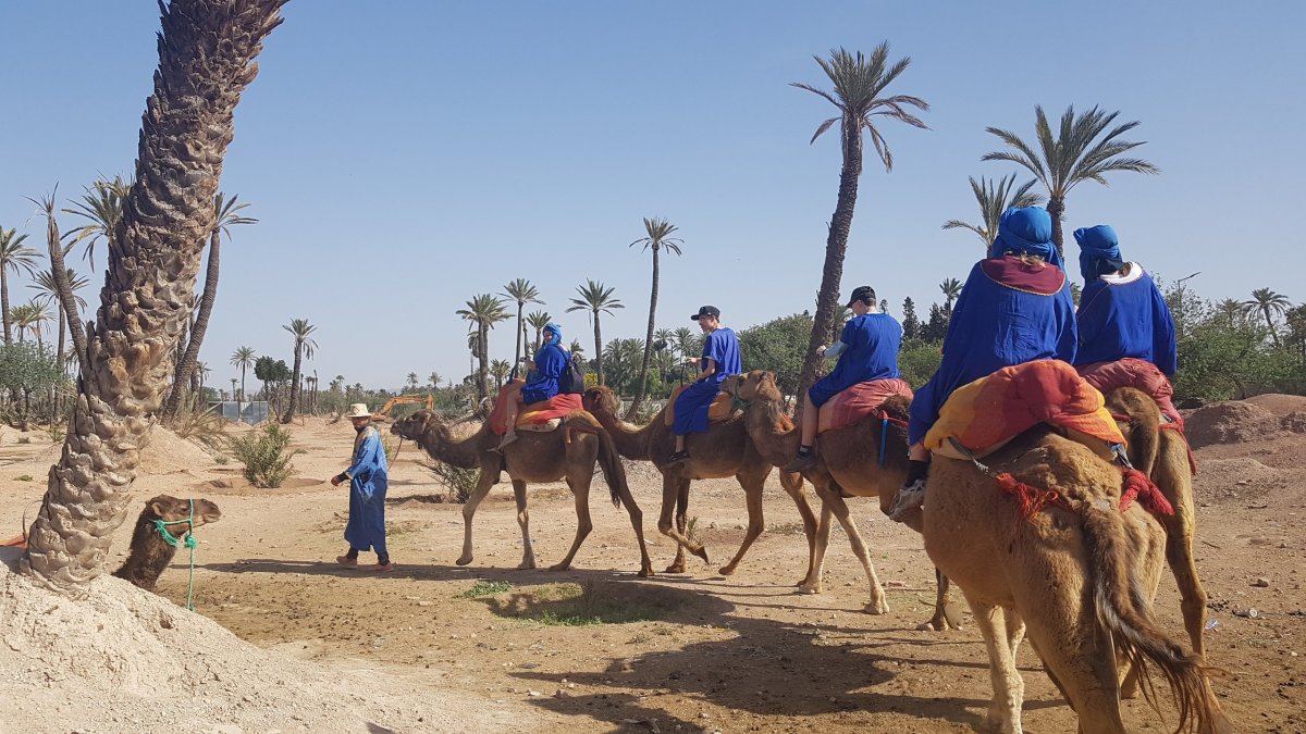 Naše karavana se vydává do marocké pouště