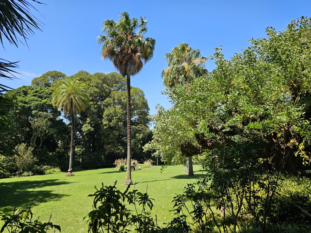 Royal Botanic Gardens