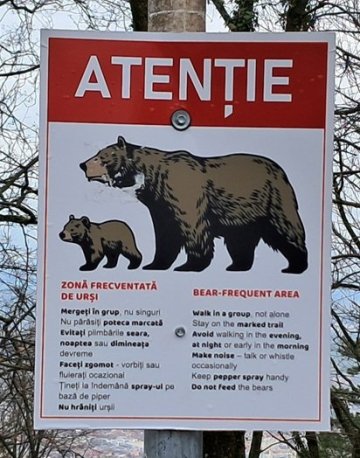 Výstražné cedule varující před mesvědy. My jsme však žádné nepotkali. 