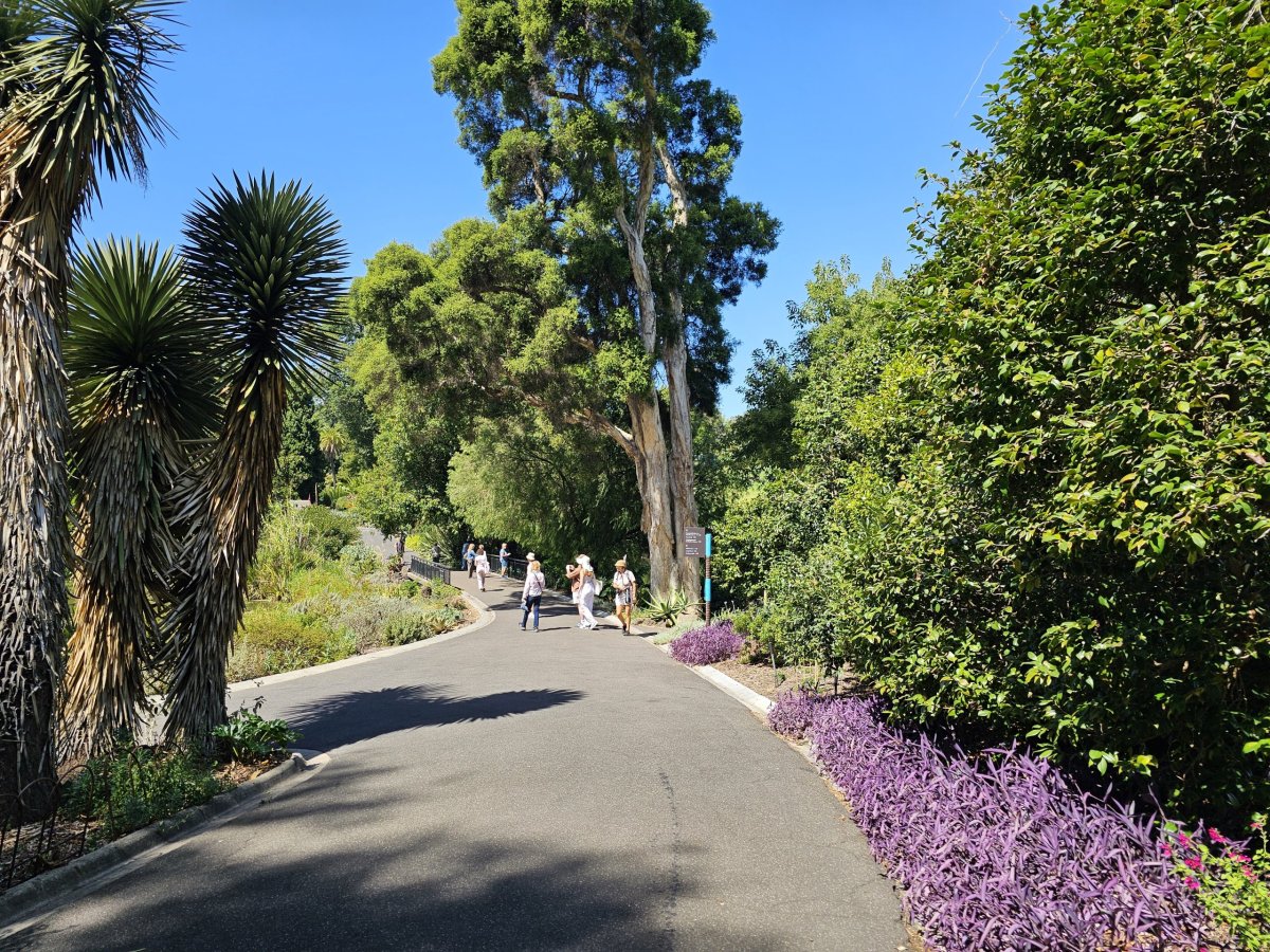 Royal Botanic Gardens