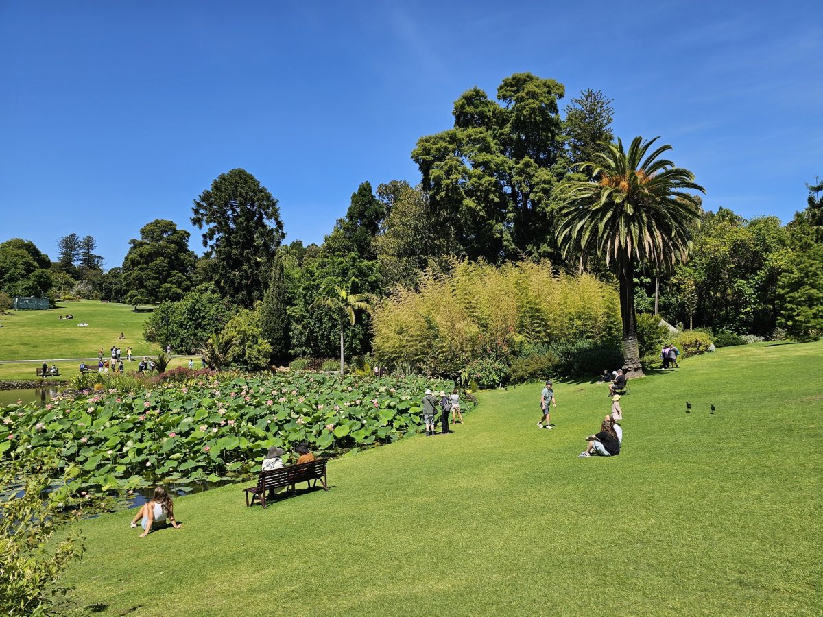 Royal Botanic Gardens