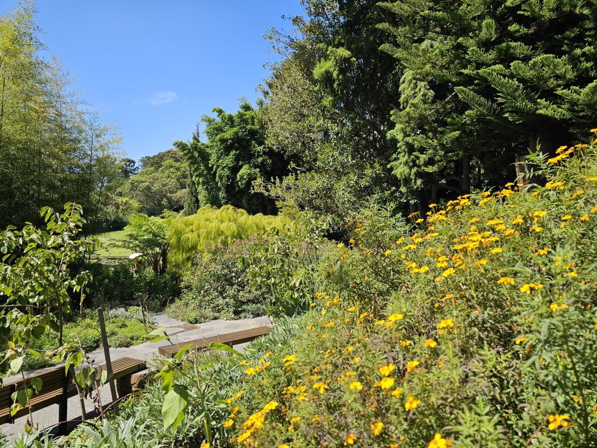 Royal Botanic Gardens