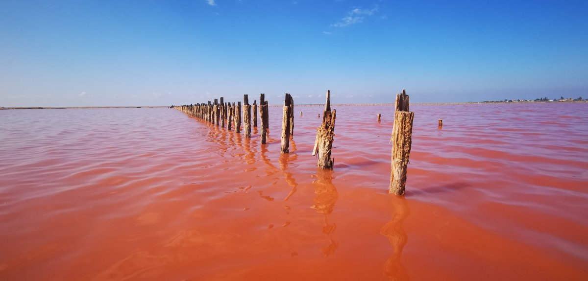 Heničesk - Pink lake
