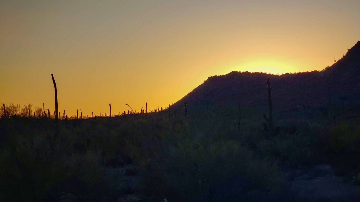 Ironwood Forest Trail