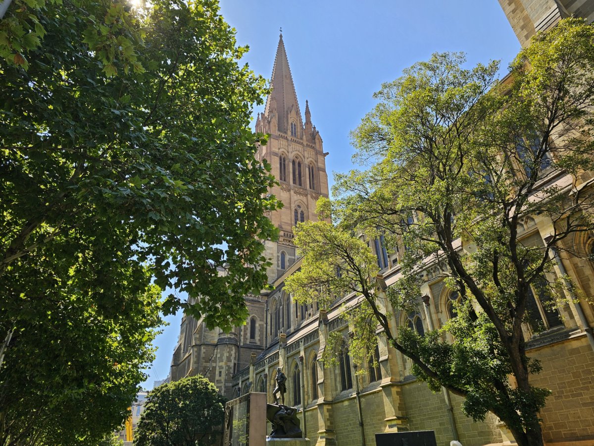 Katedrála sv. Pavla