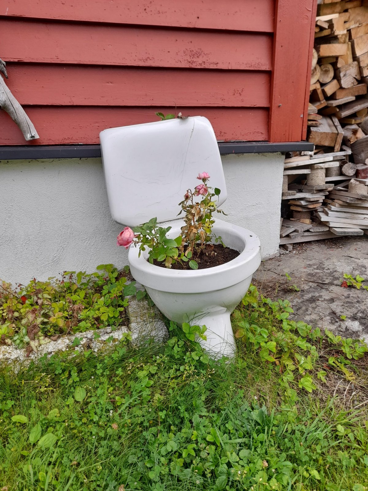Nejhezčí květináč v celém Norsku