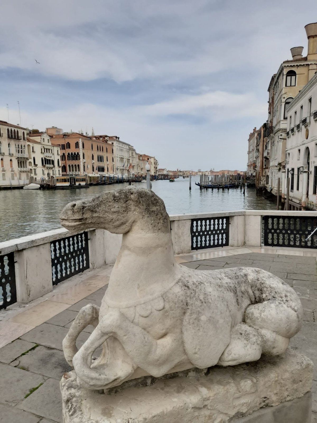 Výhled z terasy muzea.