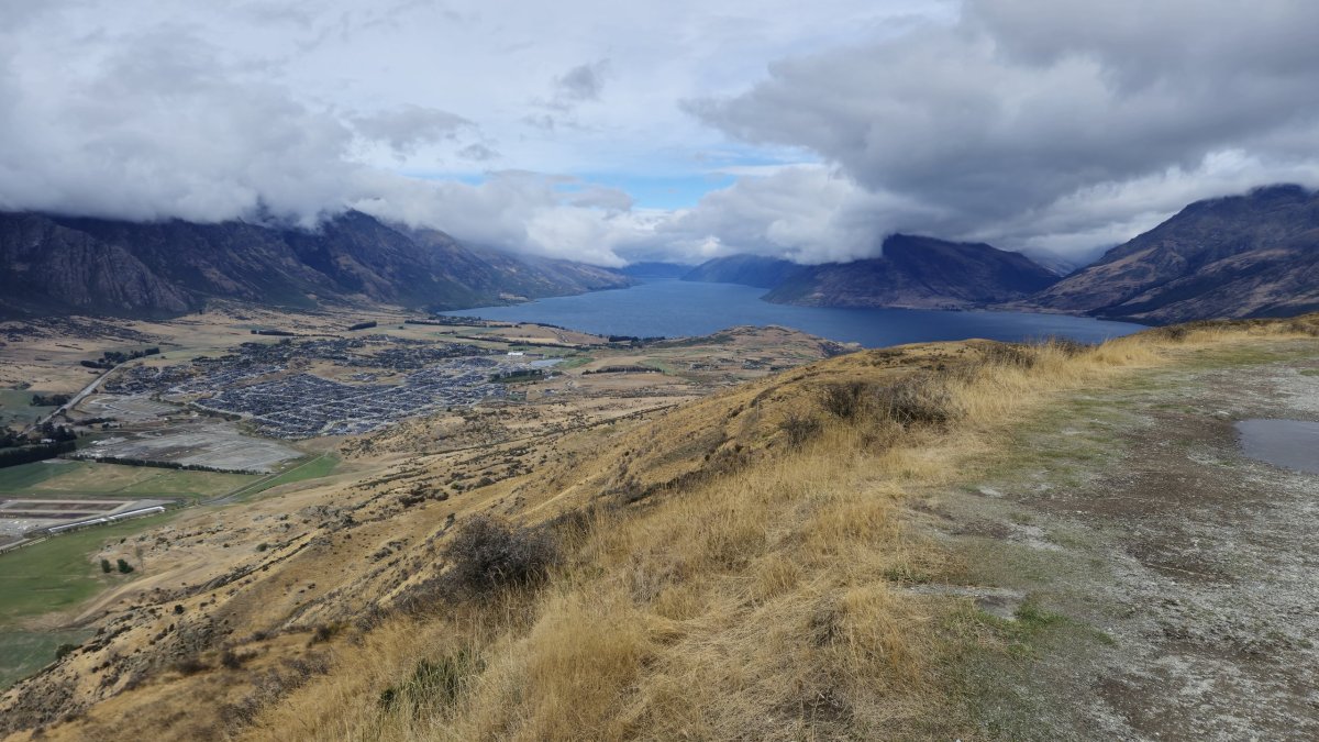 Deer park Queenstown