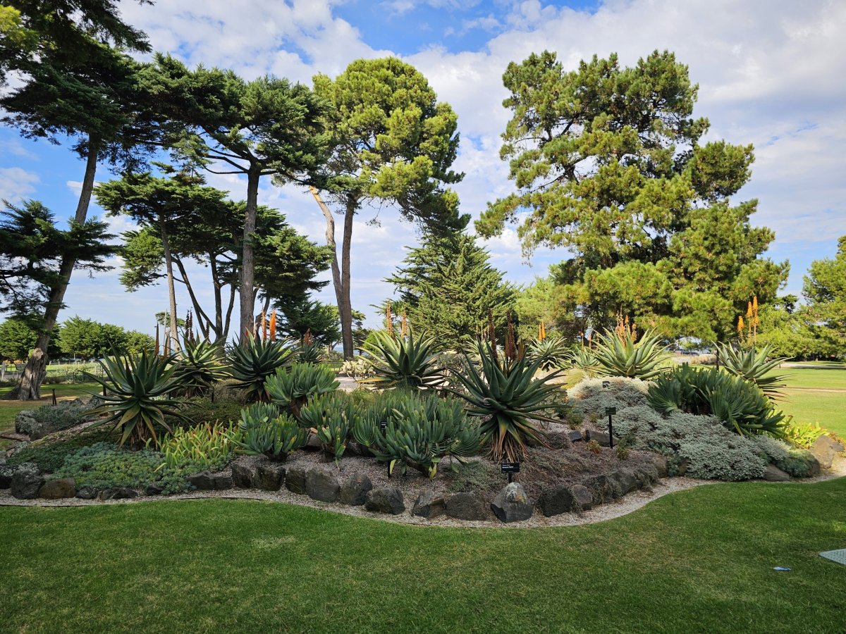 Williamstown Botanic Gardens