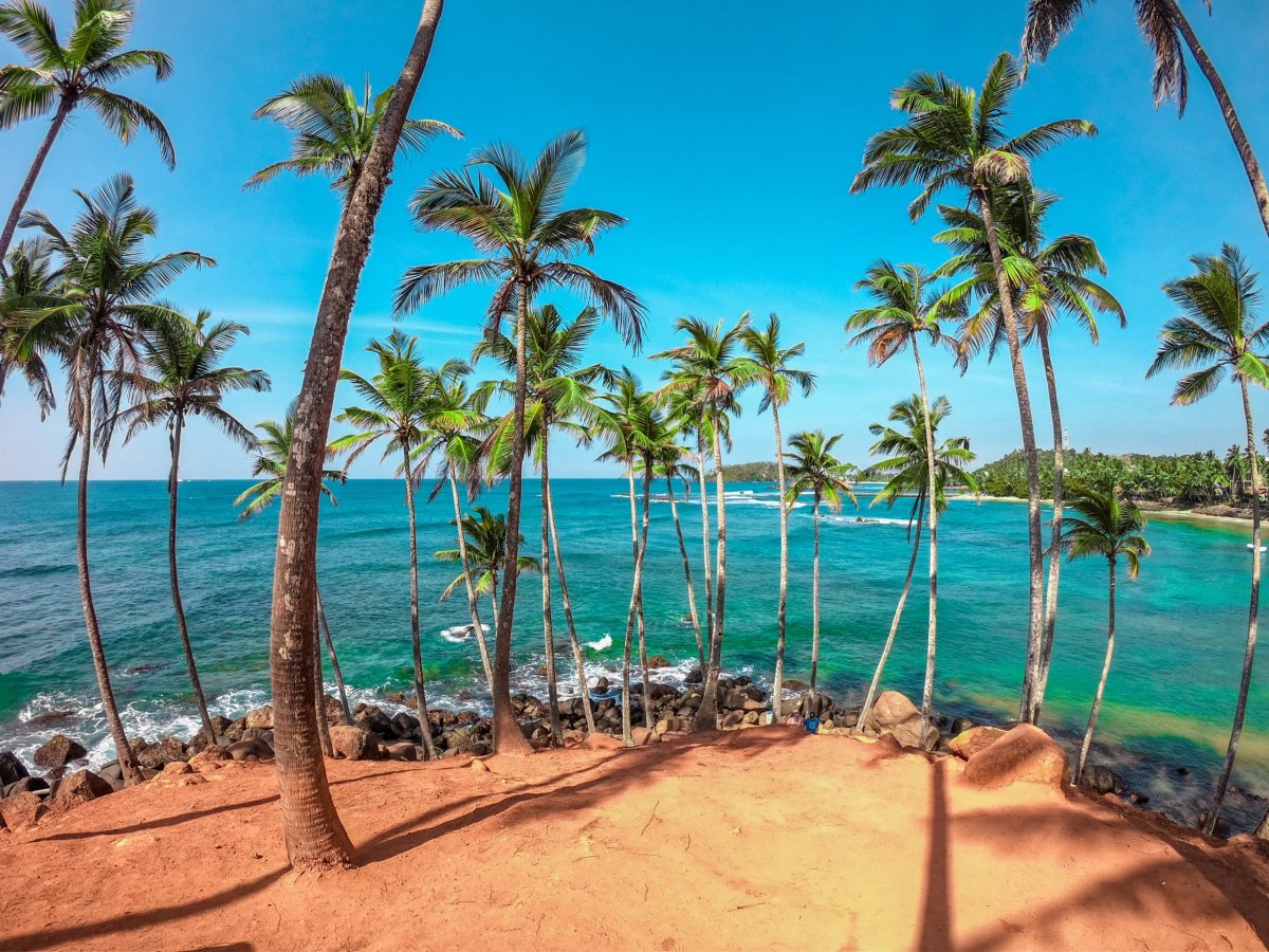 Srí Lanka - palmy a moře