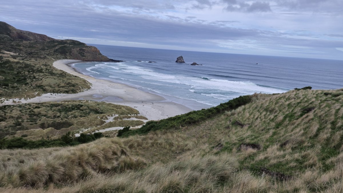 Sandfly beach 