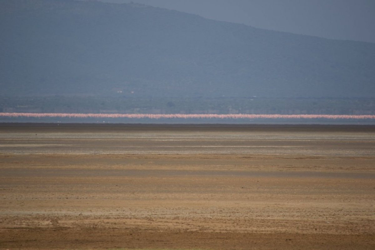 Lake Manyara