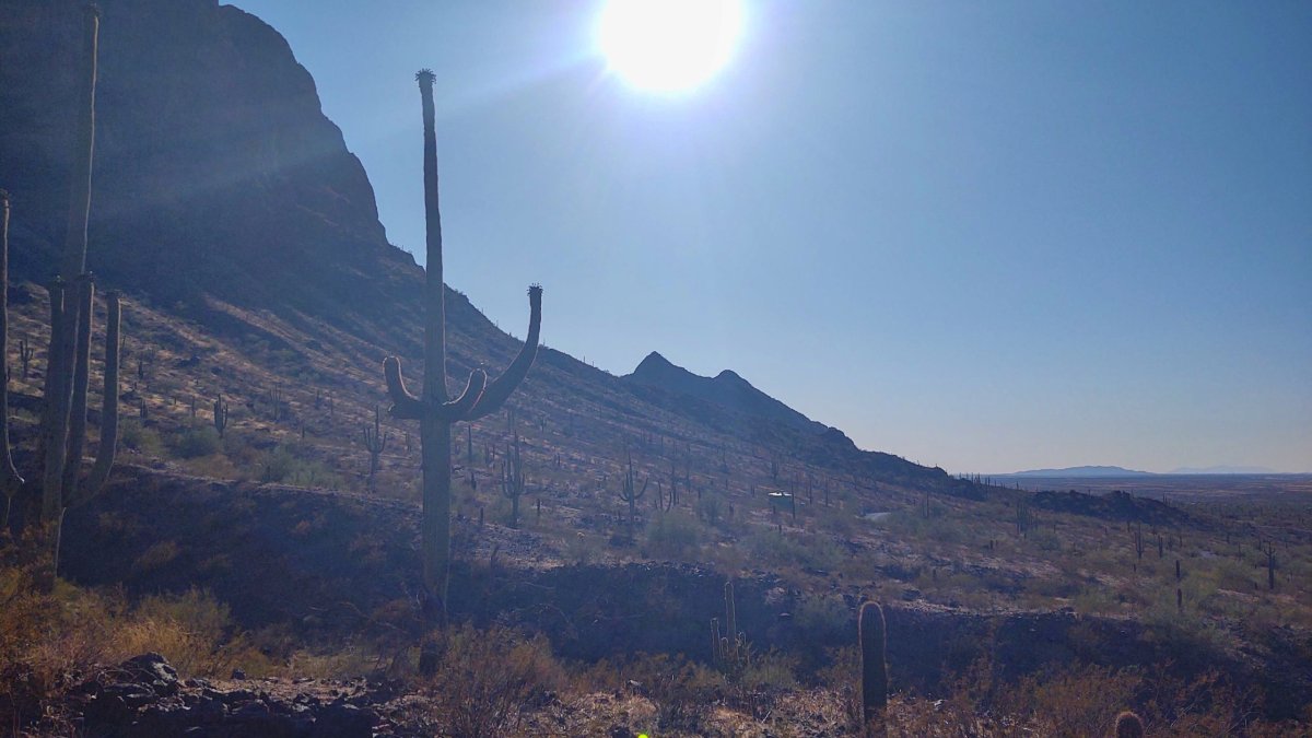 Picacho Peak State Park