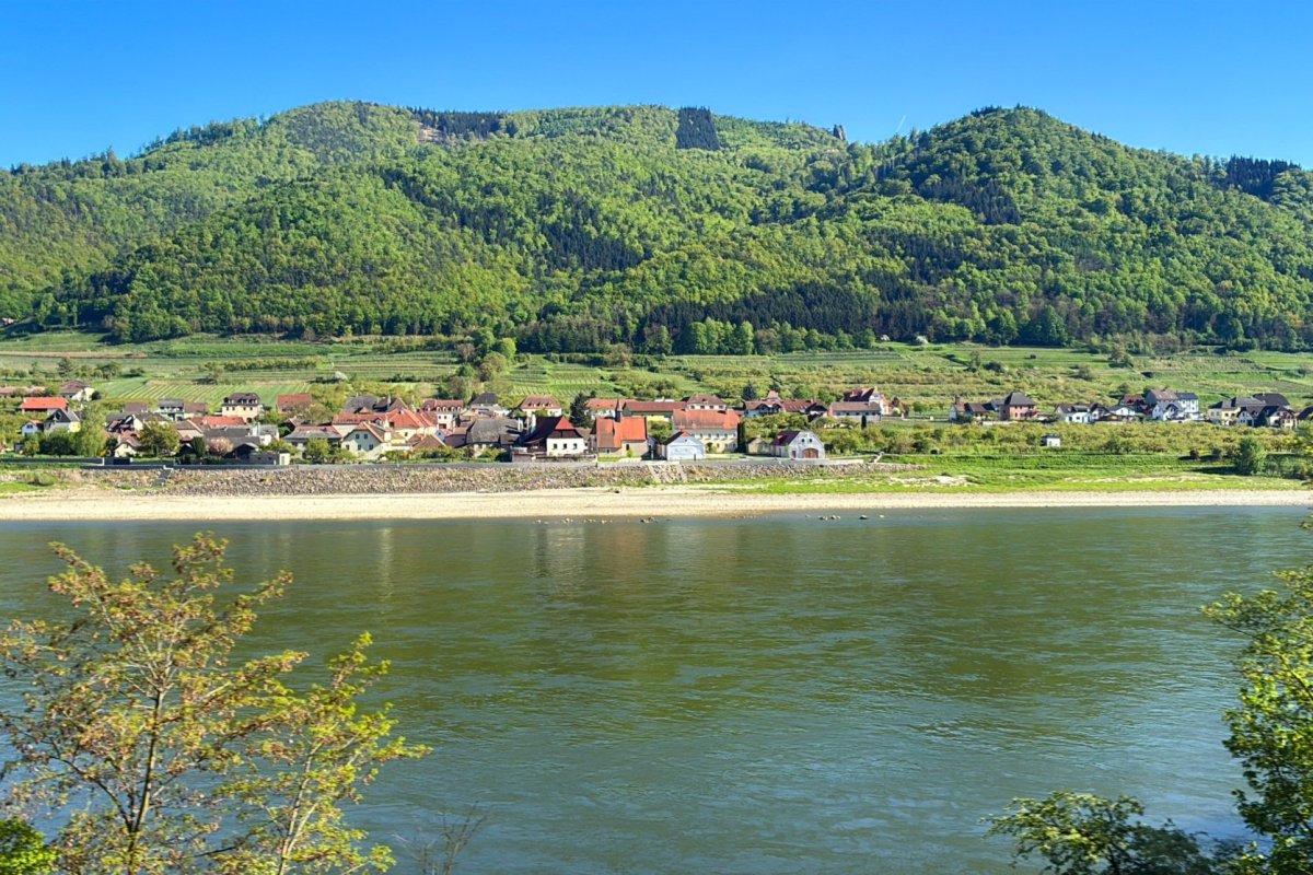 Výhled z vlaku