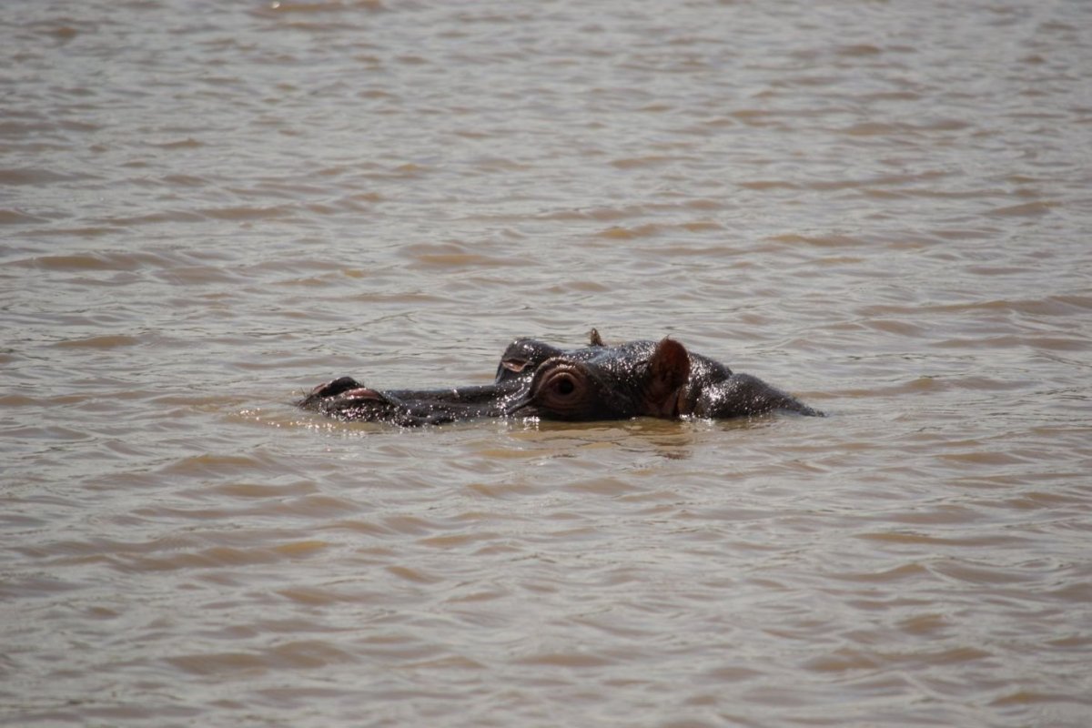 Z hrocha člověk vidí jen kousek...