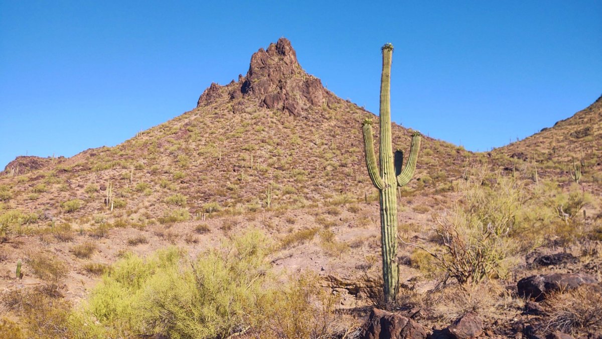 Picacho Peak
