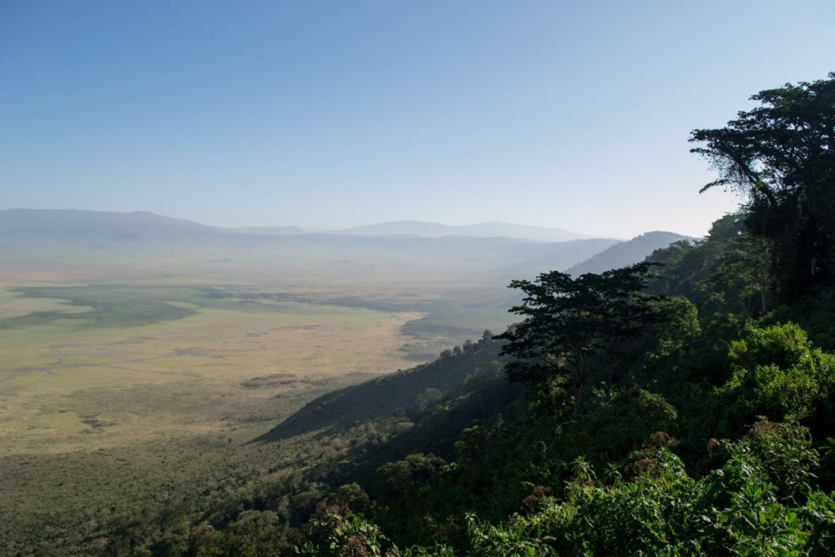 Pohled do kráteru Ngorongoro z jeho okraje